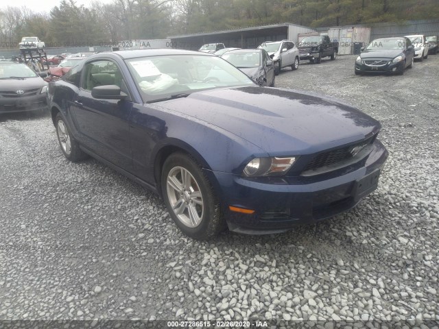 FORD MUSTANG 2010 1zvbp8an5a5176427