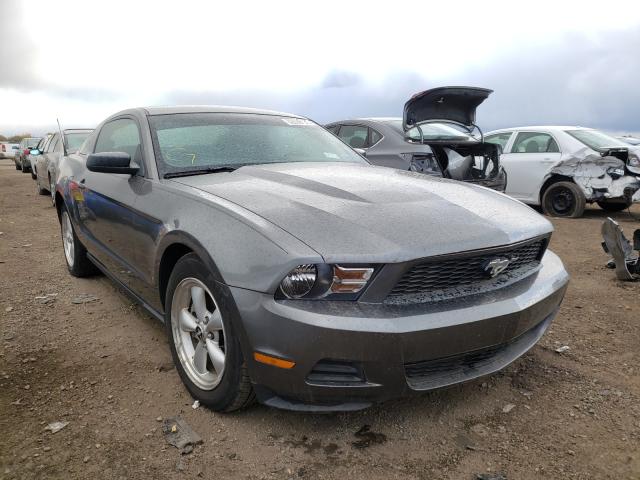 FORD MUSTANG 2010 1zvbp8an5a5176475