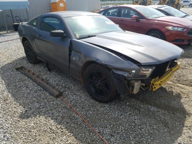 FORD MUSTANG 2010 1zvbp8an5a5176623