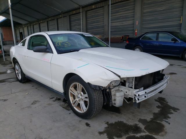 FORD MUSTANG 2010 1zvbp8an5a5176654