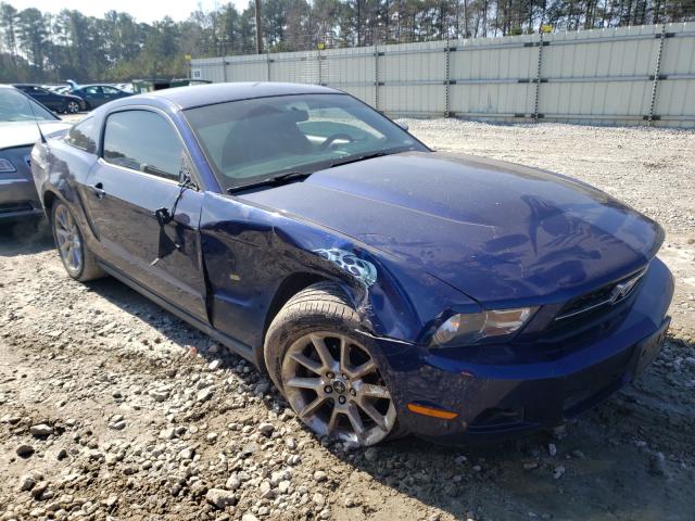 FORD MUSTANG 2010 1zvbp8an5a5176962