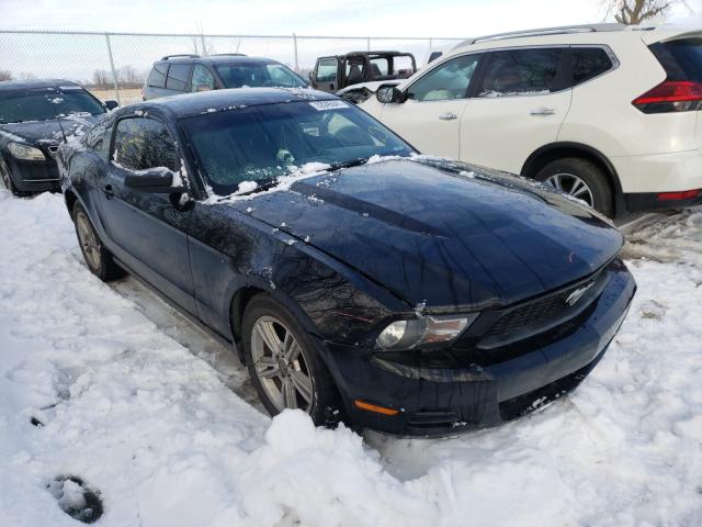 FORD MUSTANG 2010 1zvbp8an5a5179764