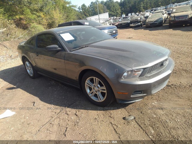 FORD MUSTANG 2010 1zvbp8an5a5179781