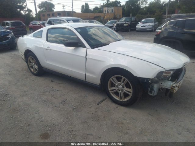 FORD MUSTANG 2010 1zvbp8an5a5180607