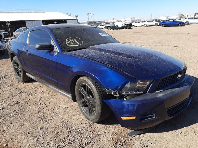 FORD MUSTANG 2010 1zvbp8an5a5181045