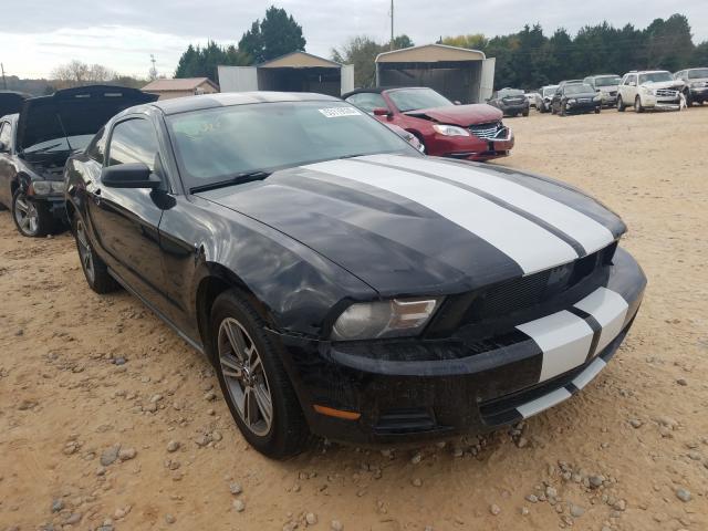 FORD MUSTANG 2010 1zvbp8an5a5181613