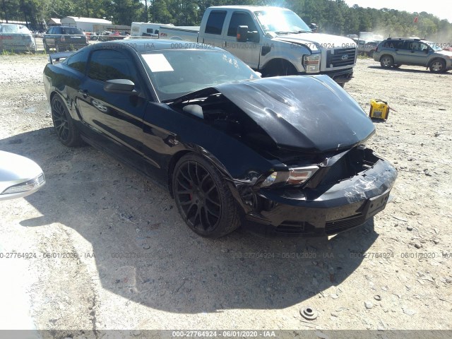 FORD MUSTANG 2010 1zvbp8an5a5181661