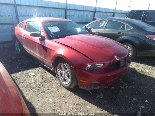 FORD MUSTANG 2010 1zvbp8an5a5181675