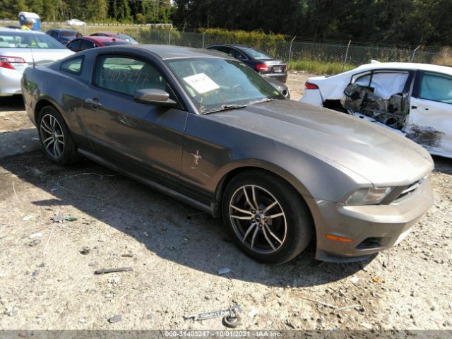 FORD MUSTANG 2010 1zvbp8an6a5104541