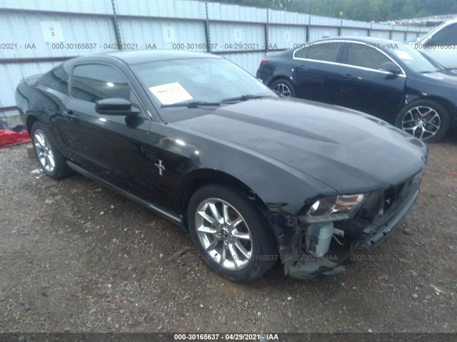 FORD MUSTANG 2010 1zvbp8an6a5105379