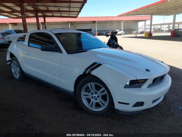 FORD MUSTANG 2010 1zvbp8an6a5105415