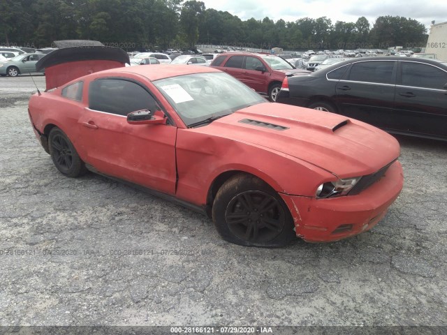 FORD MUSTANG 2010 1zvbp8an6a5108041