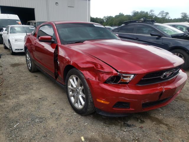 FORD MUSTANG 2010 1zvbp8an6a5114695