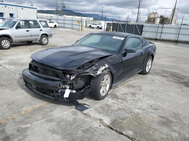 FORD MUSTANG 2010 1zvbp8an6a5126541