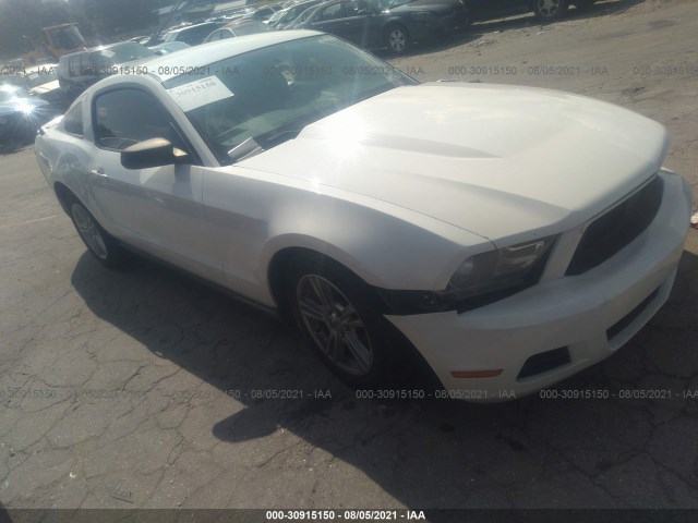 FORD MUSTANG 2010 1zvbp8an6a5130993