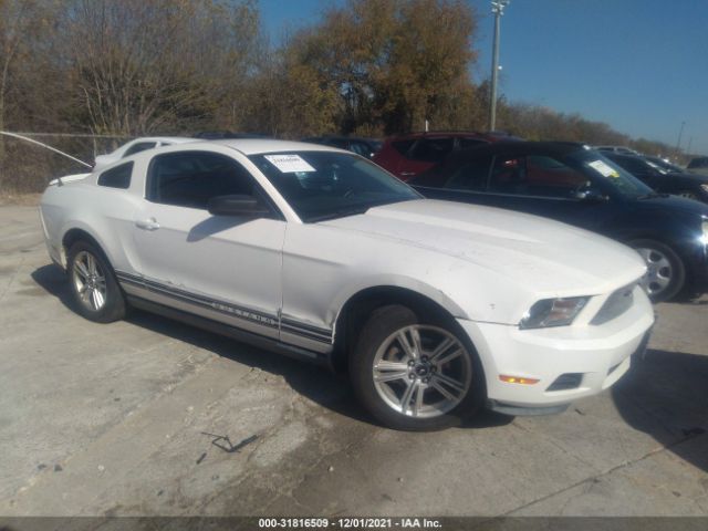 FORD MUSTANG 2010 1zvbp8an6a5131366