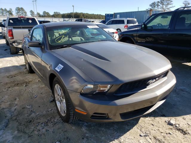 FORD MUSTANG 2010 1zvbp8an6a5131383