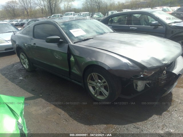 FORD MUSTANG 2010 1zvbp8an6a5131626