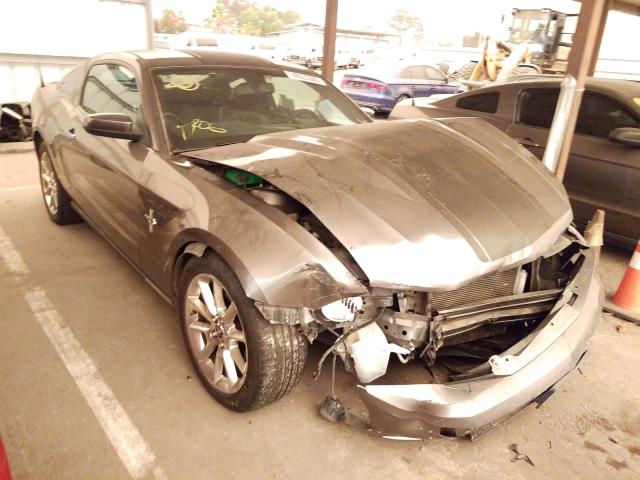 FORD MUSTANG 2010 1zvbp8an6a5139807