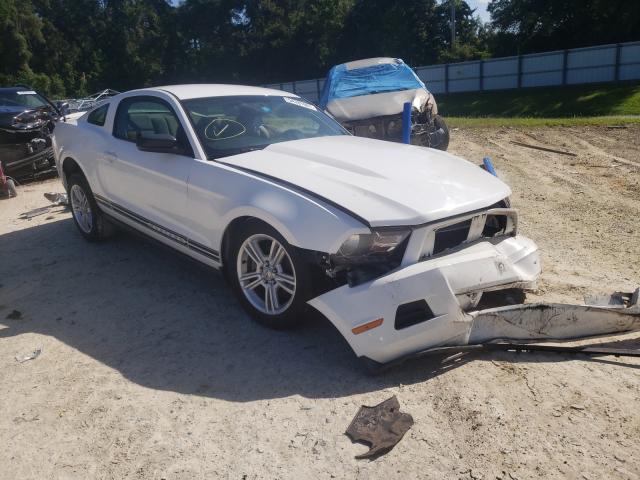 FORD MUSTANG 2010 1zvbp8an6a5142979