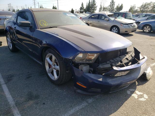 FORD MUSTANG 2010 1zvbp8an6a5146871