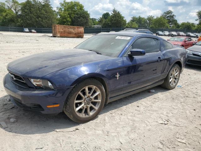 FORD MUSTANG 2010 1zvbp8an6a5147406