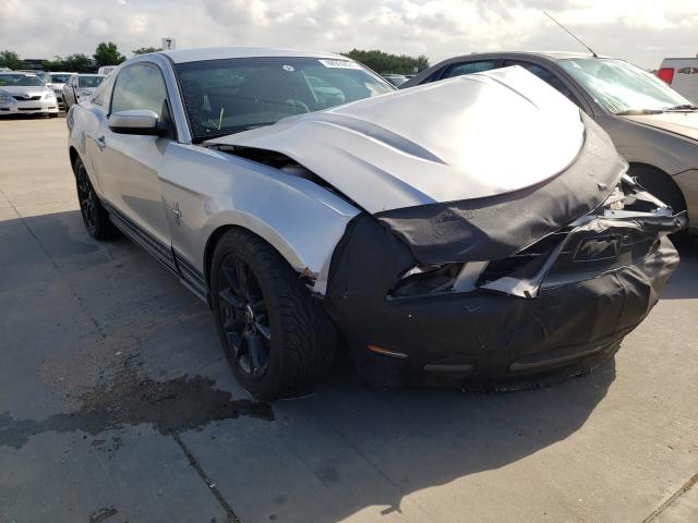 FORD MUSTANG 2010 1zvbp8an6a5150435