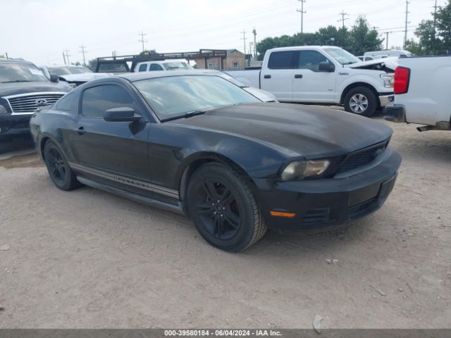 FORD MUSTANG 2010 1zvbp8an6a5150886