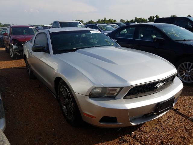 FORD MUSTANG 2010 1zvbp8an6a5151357