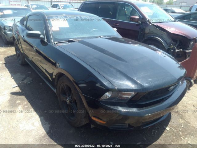 FORD MUSTANG 2010 1zvbp8an6a5151908