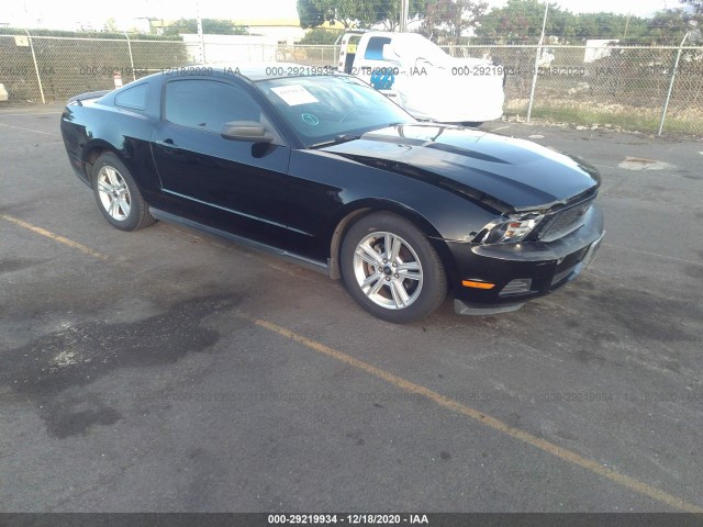 FORD MUSTANG 2010 1zvbp8an6a5152654