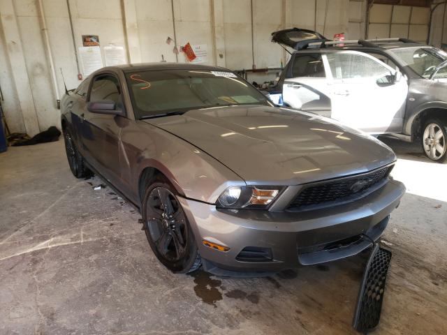 FORD MUSTANG 2010 1zvbp8an6a5155702