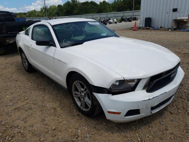 FORD MUSTANG 2010 1zvbp8an6a5157322