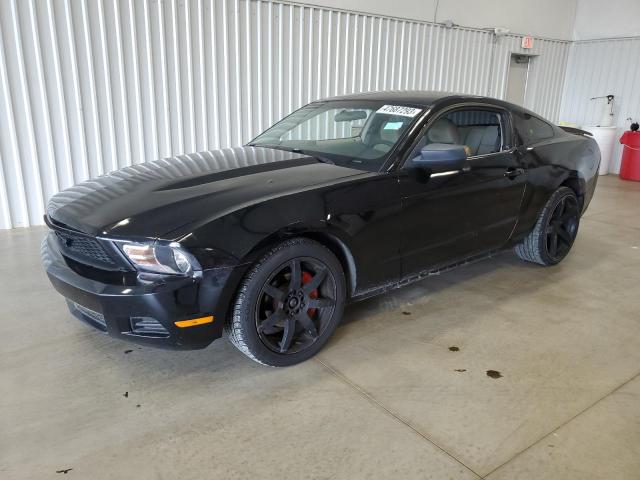 FORD MUSTANG 2010 1zvbp8an6a5159538