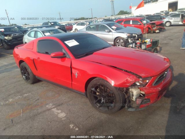 FORD MUSTANG 2010 1zvbp8an6a5160849