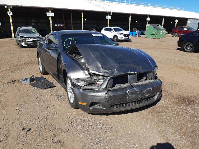 FORD MUSTANG 2010 1zvbp8an6a5161788