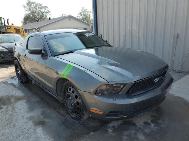 FORD MUSTANG 2010 1zvbp8an6a5161967