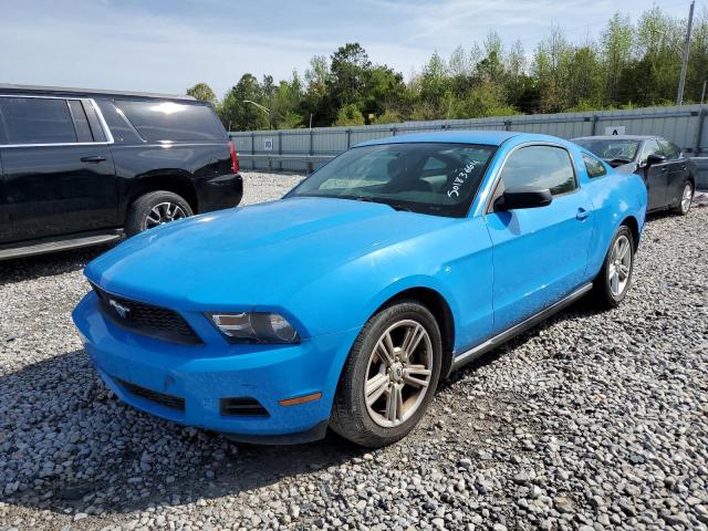 FORD MUSTANG 2010 1zvbp8an6a5163427