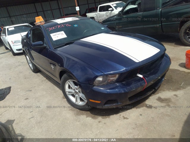 FORD MUSTANG 2010 1zvbp8an6a5163654