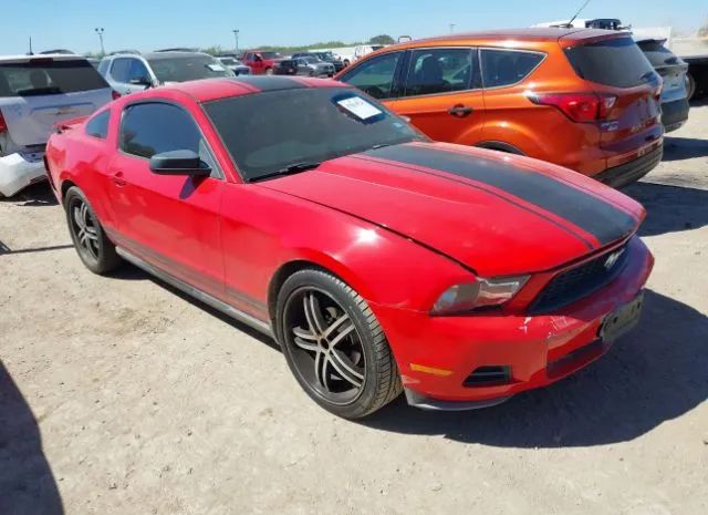 FORD MUSTANG 2010 1zvbp8an6a5166702