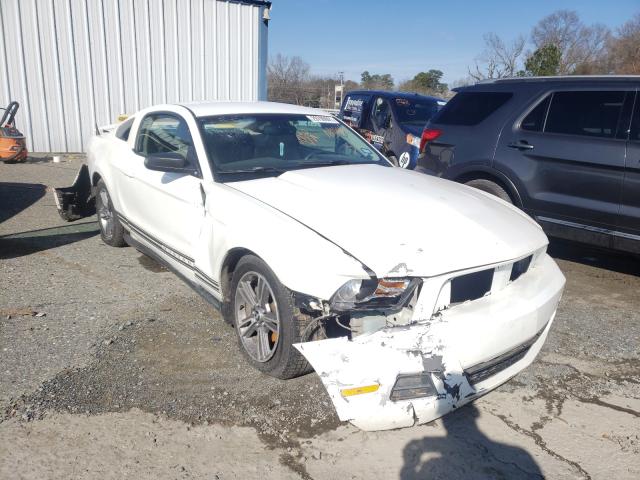 FORD MUSTANG 2010 1zvbp8an6a5169986