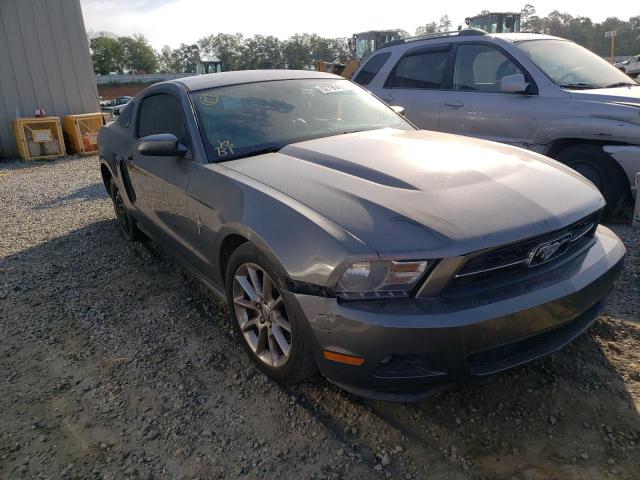 FORD MUSTANG 2010 1zvbp8an6a5177425