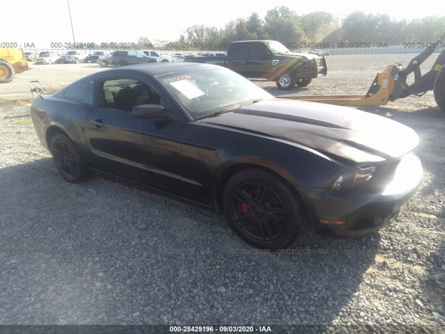 FORD MUSTANG 2010 1zvbp8an6a5180650