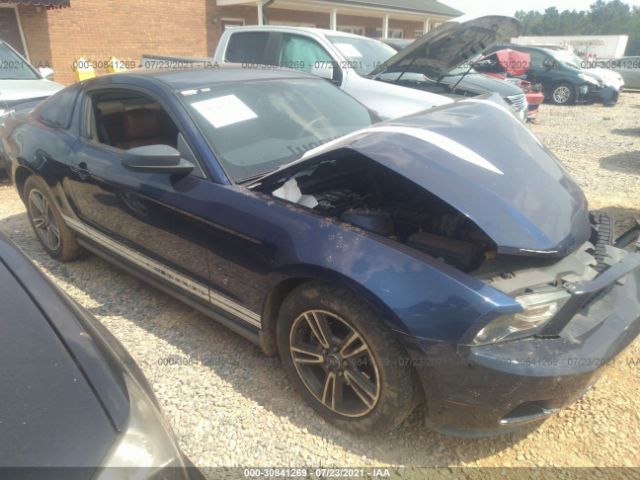 FORD MUSTANG 2010 1zvbp8an7a5107058