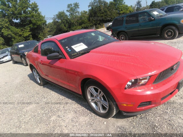 FORD MUSTANG 2010 1zvbp8an7a5108386