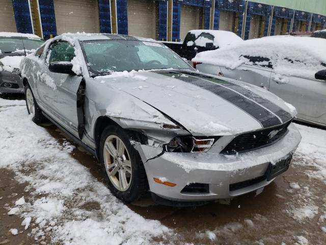 FORD MUSTANG 2010 1zvbp8an7a5109487