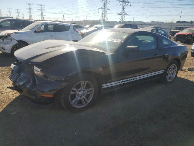 FORD MUSTANG 2010 1zvbp8an7a5114933