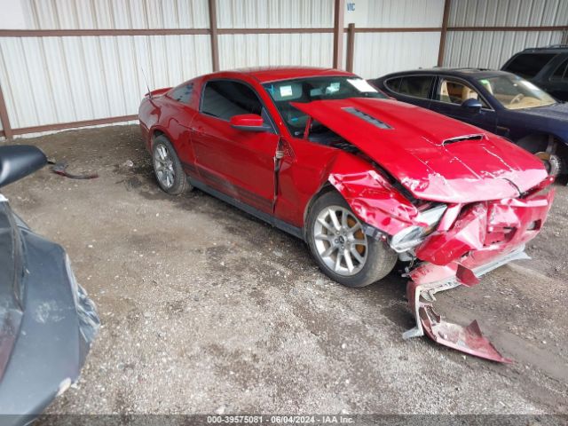 FORD MUSTANG 2010 1zvbp8an7a5115113