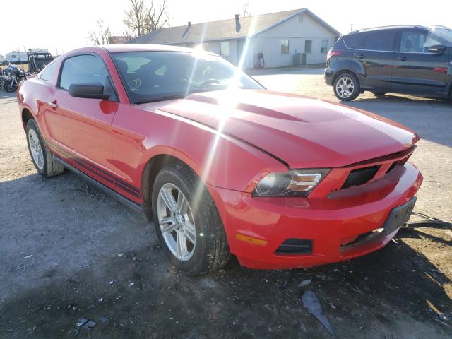 FORD MUSTANG 2010 1zvbp8an7a5118173