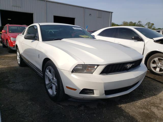 FORD MUSTANG 2010 1zvbp8an7a5123566